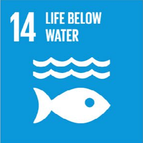 Life Below Water