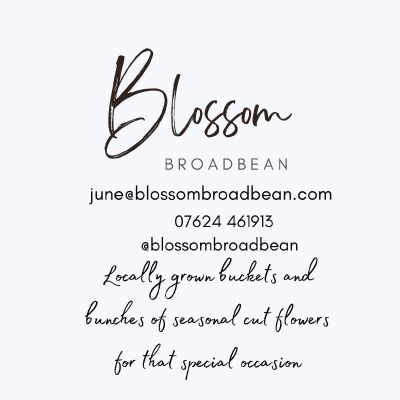 Blossom Broadbean