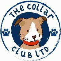 The Collar Club Limited