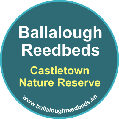 Ballalough Reedbeds, Casltetown Nature Reserve