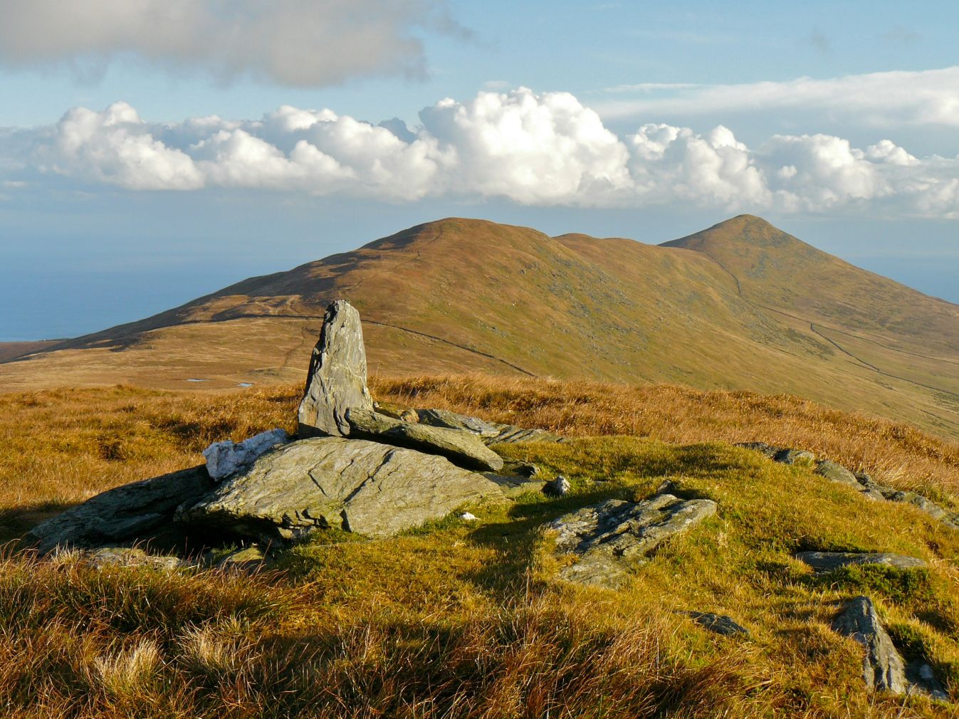 Learn Manx This Autumn! - Biosphere