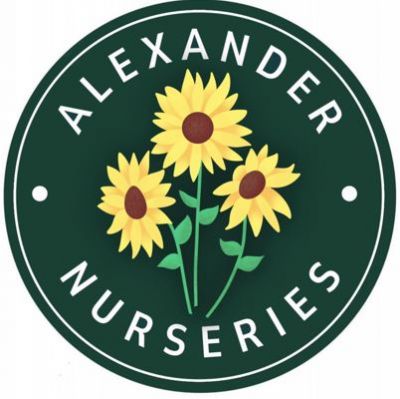 Alexander Nurseries