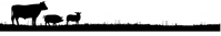 Orrisdale Livestock Ltd
