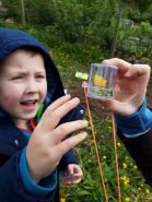 Bunscoill nature journalling