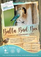 Balla Bird Box poster