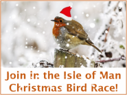 Isle of Man Christmas Bird Race
