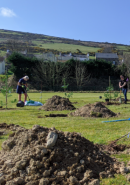 Woodland being created