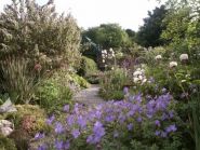 Jane's garden
