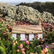 Manx cottages by Faye Christian