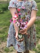 The Flower Studio