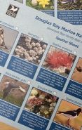 Leaflets