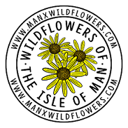 Wildflowers of the Isle of Man