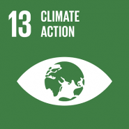 Global Goals